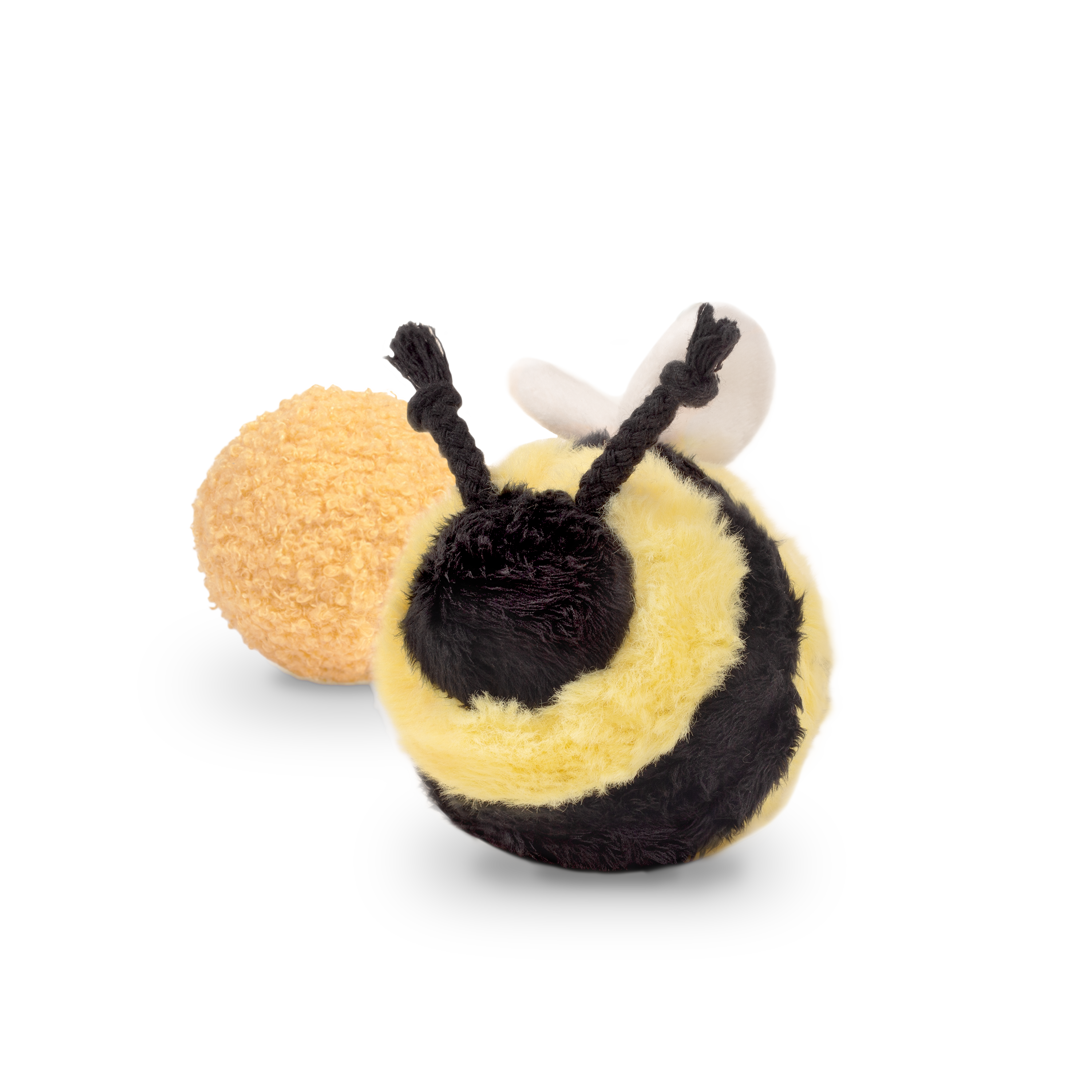 BEE POP