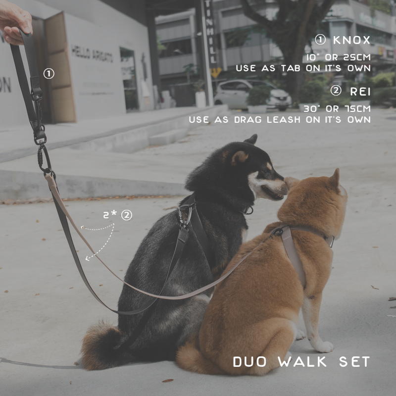 DUO WALK SET