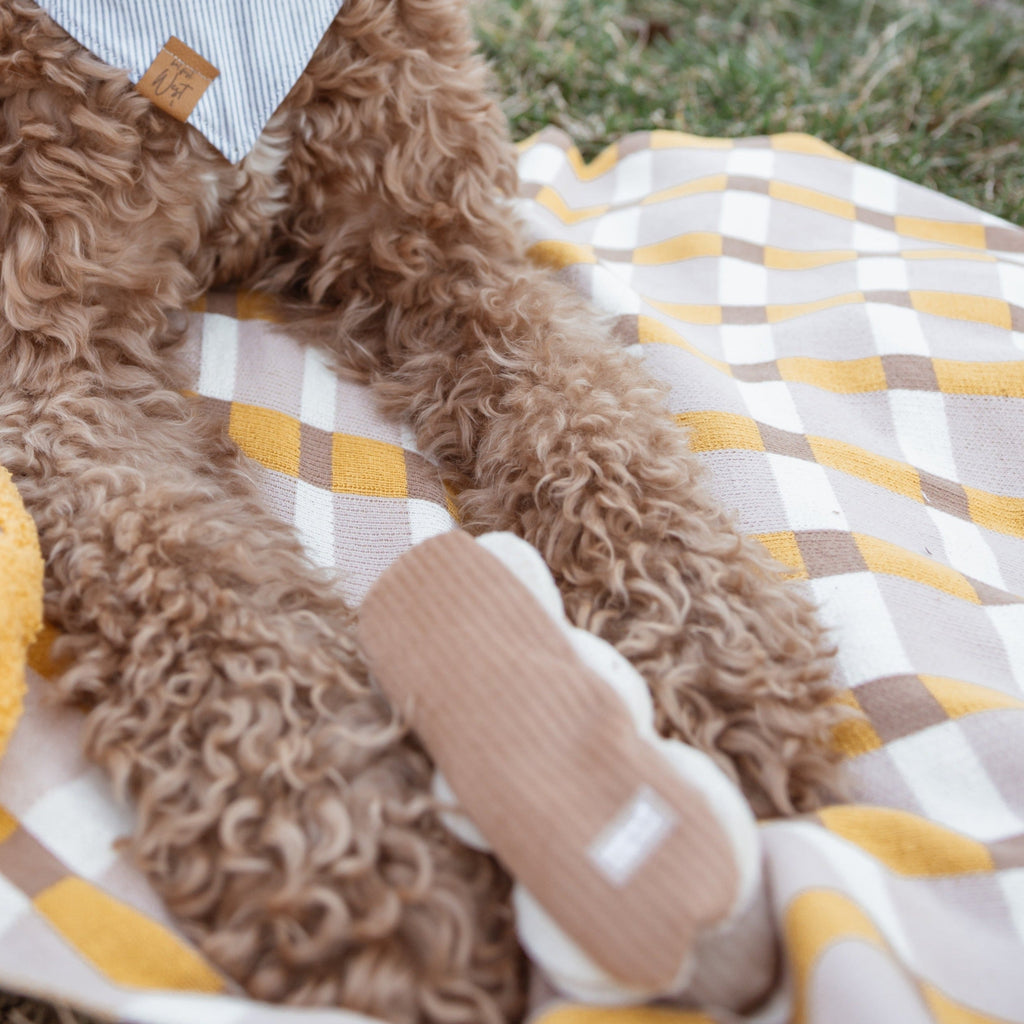 PICNIC BLANKET