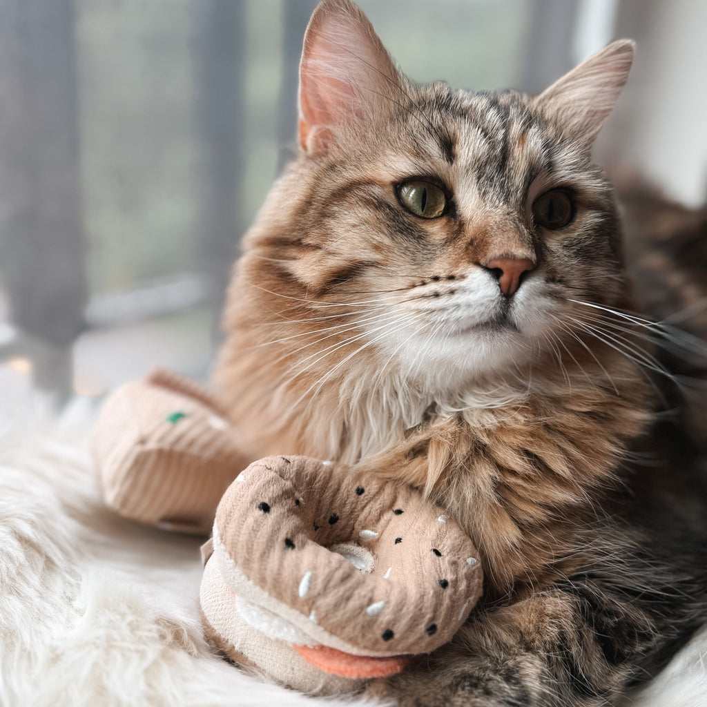 KITTY PIZZA & BAGEL SET