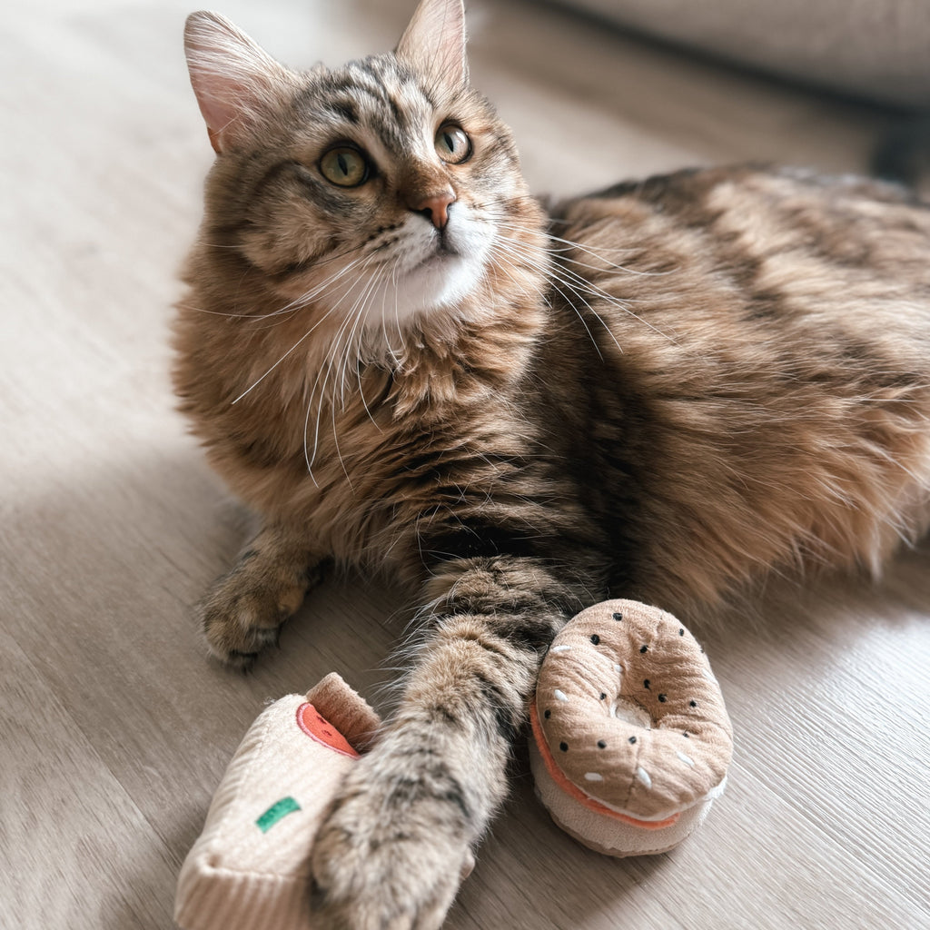 KITTY PIZZA & BAGEL SET