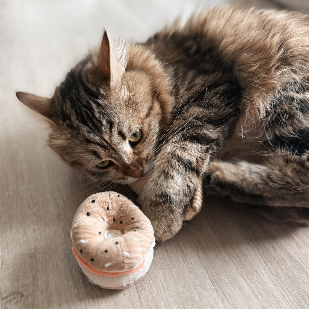 KITTY PIZZA & BAGEL SET