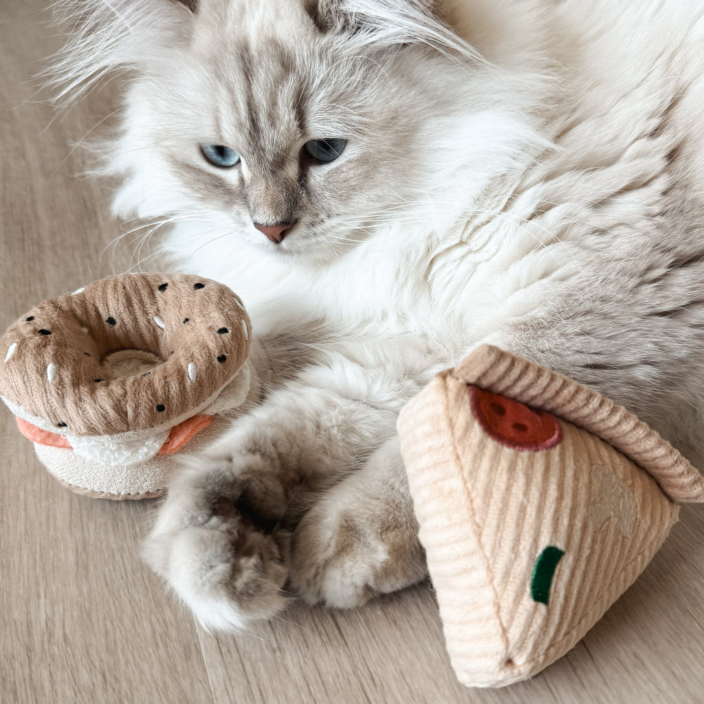 KITTY PIZZA & BAGEL SET