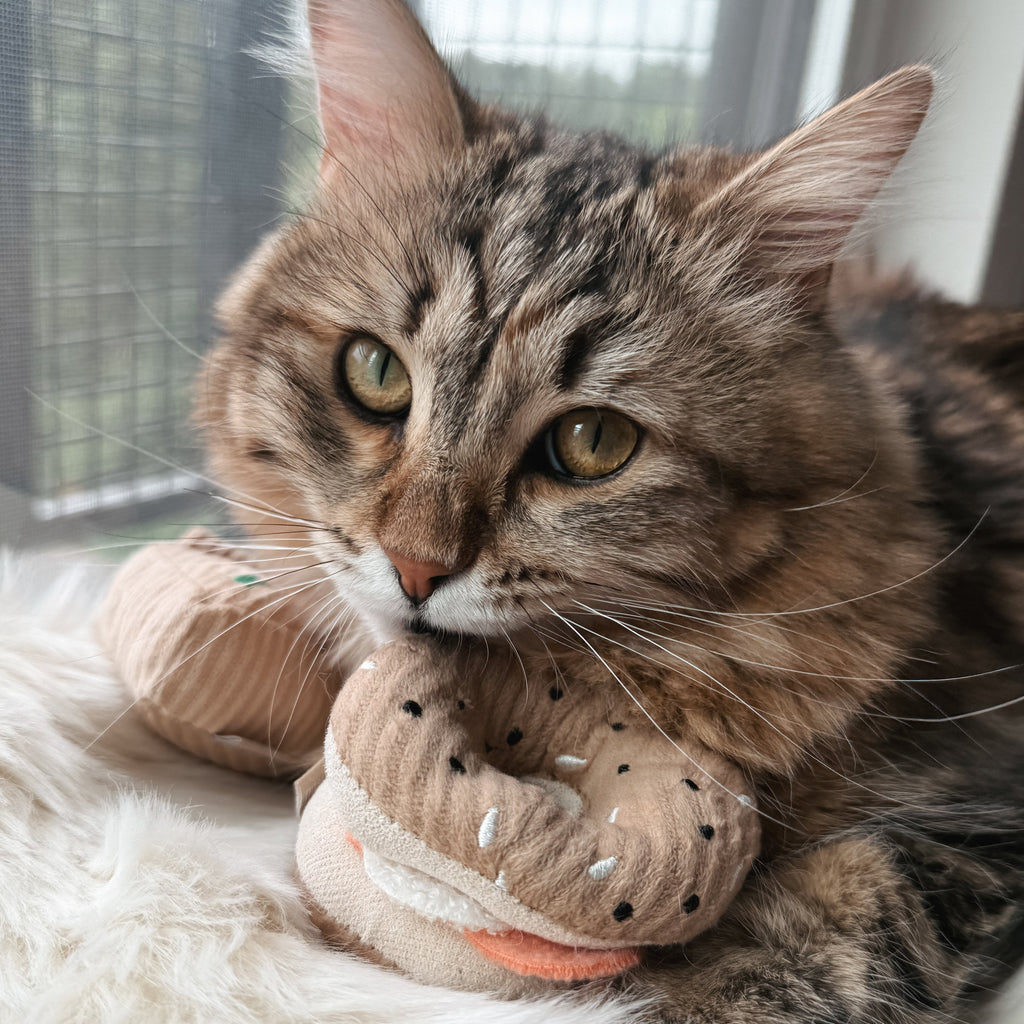 KITTY PIZZA & BAGEL SET