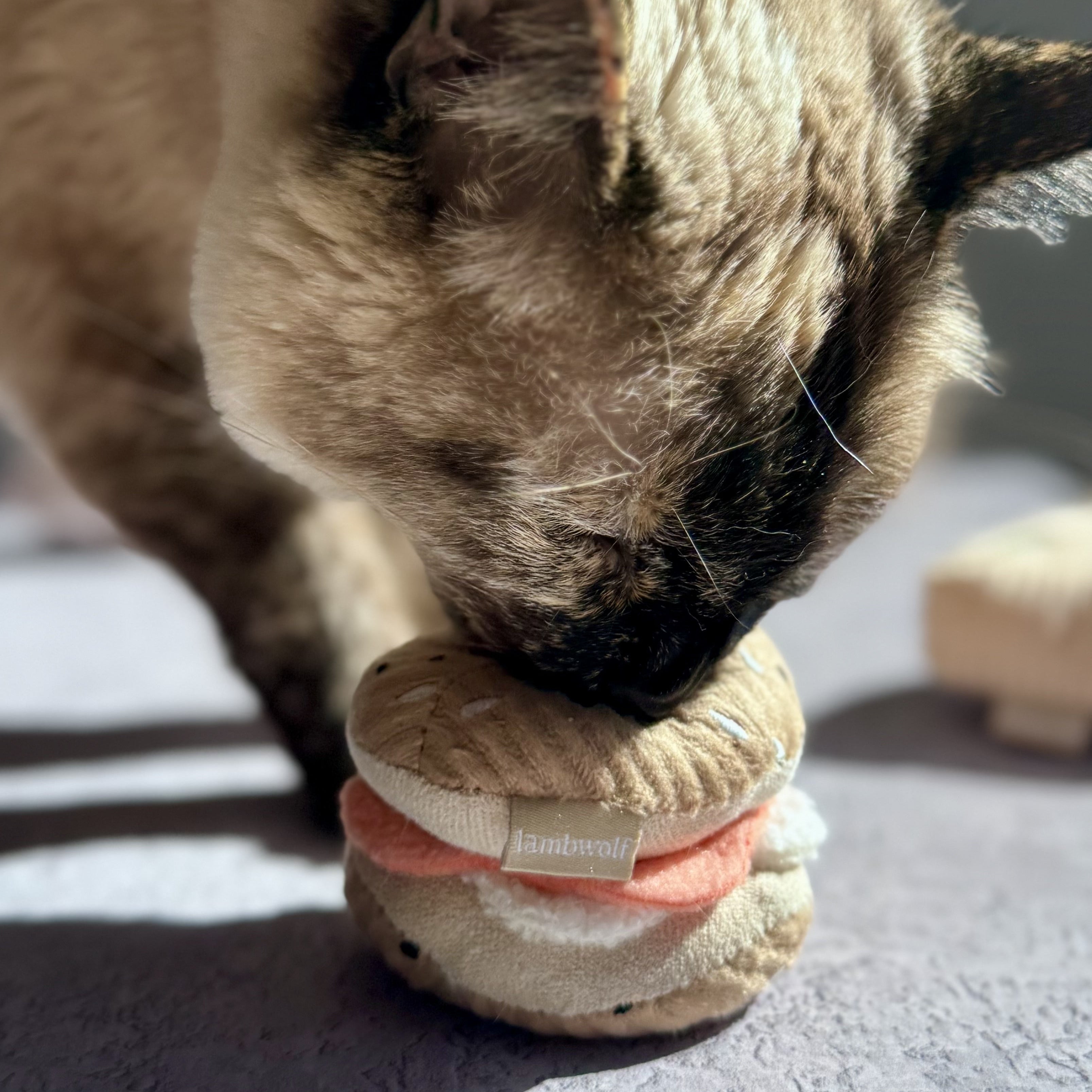 KITTY PIZZA & BAGEL SET